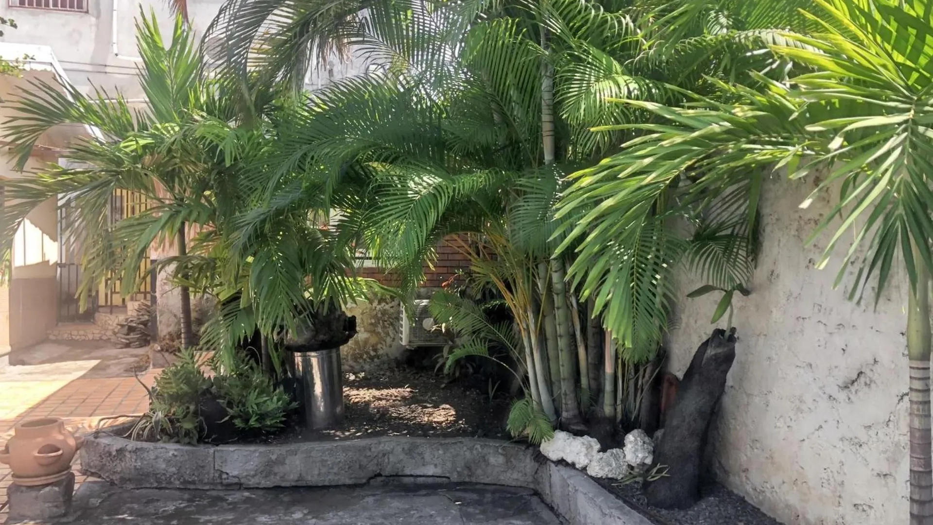 Appartement Charmant A Basse Terre 25 M² Avec Jardin Apartment Basse-Terre